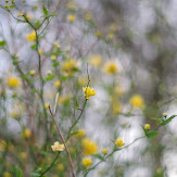 pentax_ks2_35.jpg