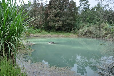 DSC_0522.JPG