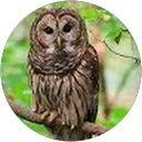 Stephanie King profile picture