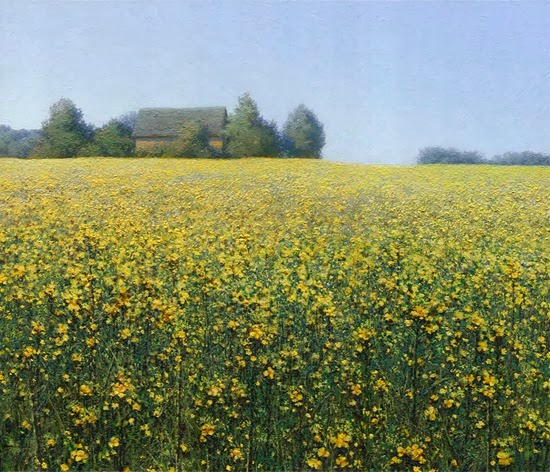 Rapeseed oil painting landscape artist Daniil Belov