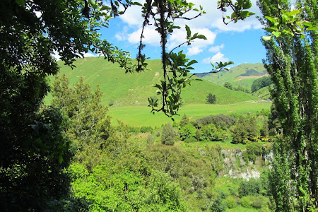Imagini Insula de Nord: Rotorua