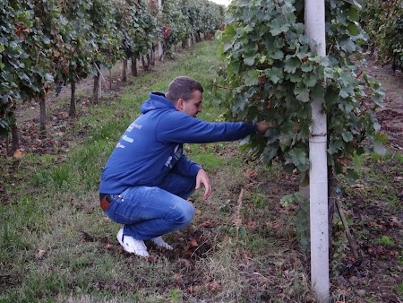 Dragos Galbur viticultor
