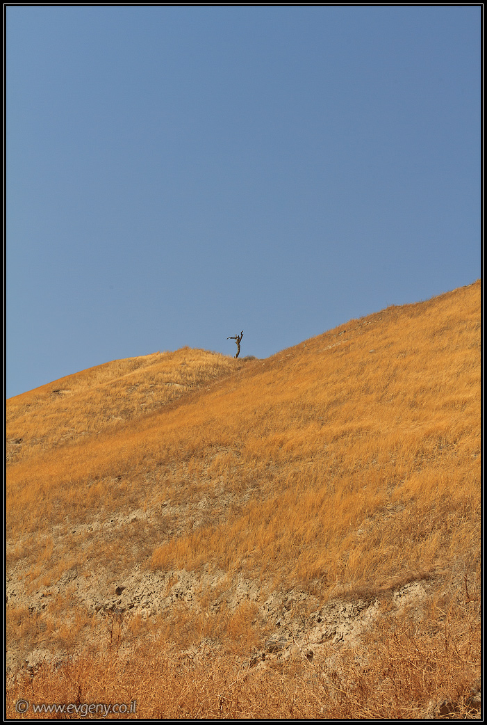 Бейт Шеан | Beit Shean |LookAtIsrael.com - Фото путешествия по Израилю
