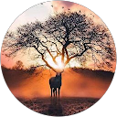 Image Google de Gauthier Bailly