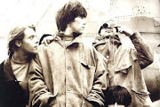 Stone Roses
