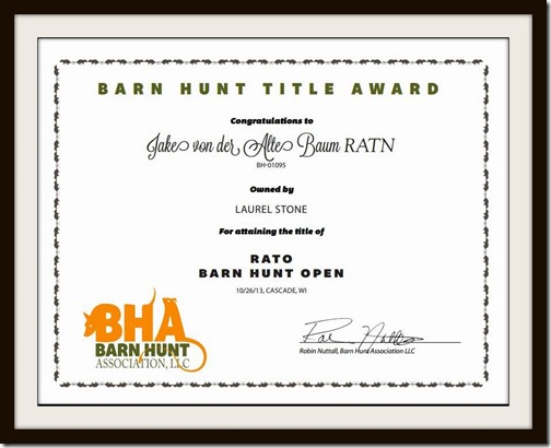 Barn Hunt Open Certificate