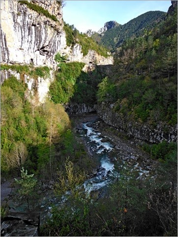 DSCF2487_ DSCF2487_