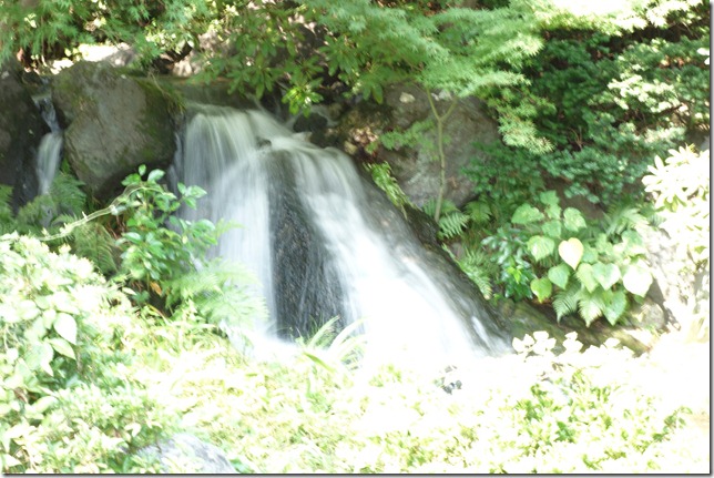 r-DSC00984 r-DSC00984