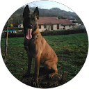Image Google de max 13