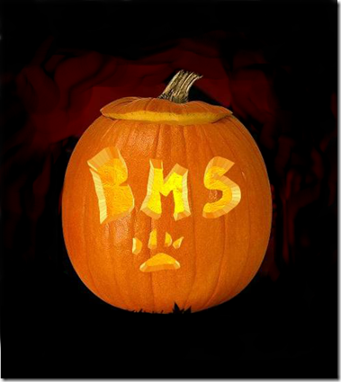 BMS Pumpkin2