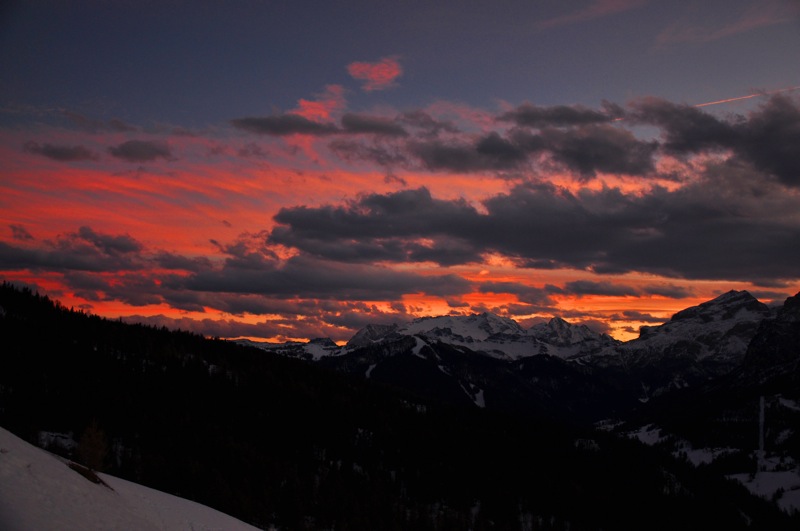 DSC_8329.JPG DSC 8329