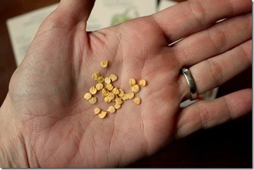 [clip_image0053.jpg]