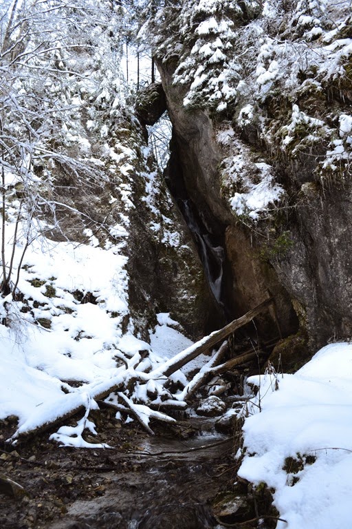 [DSC_7970%255B5%255D.jpg]