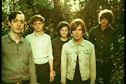 The Horrors