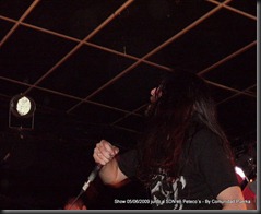 Peteco´s  SDN 5-6 (102)