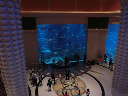 2012-10-09 Dubai - 190