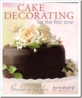 cake-decorating-for-the-first-time_p%25255B1%25255D.jpg