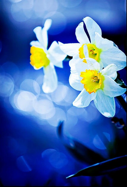 [clip_image024%255B4%255D.jpg]