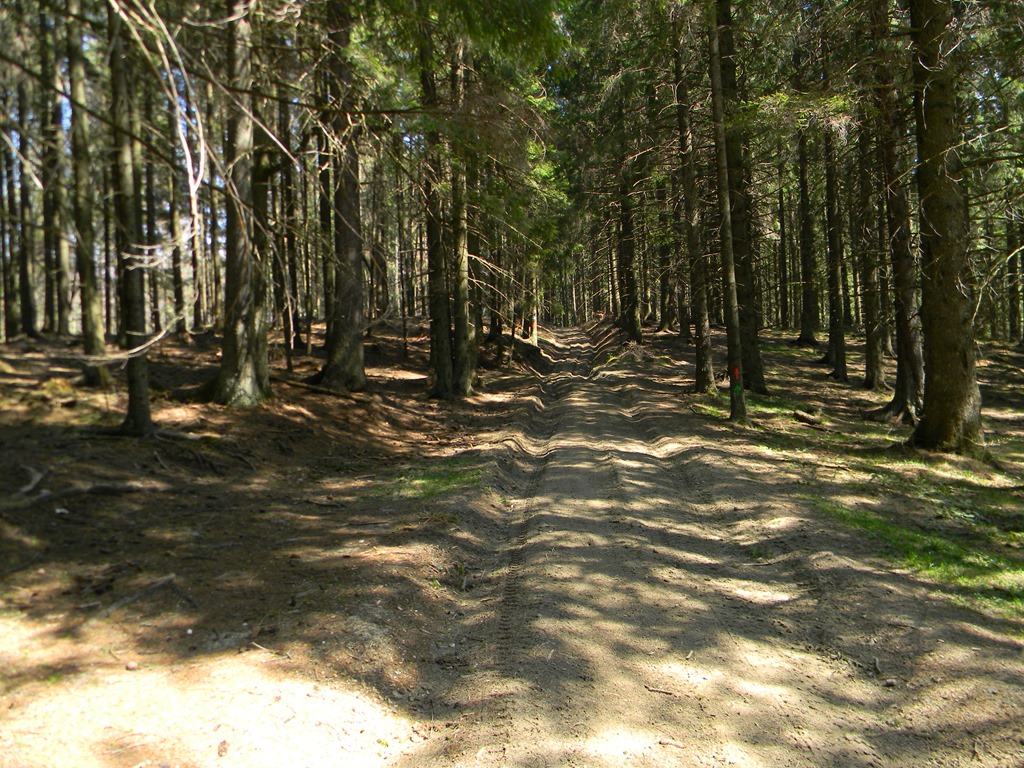 [DSCN78823.jpg]