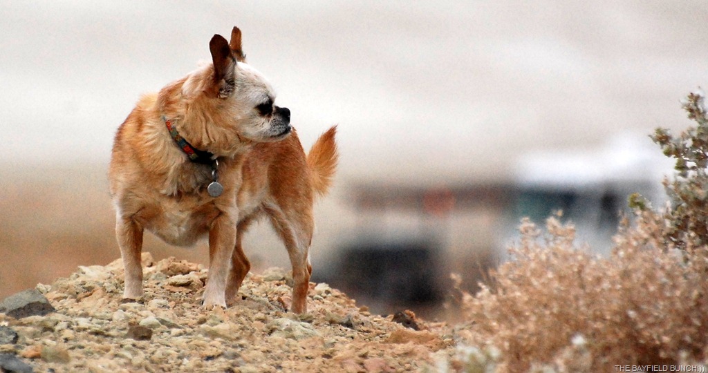 [DSC_5939%255B3%255D.jpg]