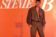Stevie B
