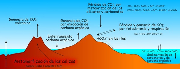 ciclo-del-carbono-dibujo
