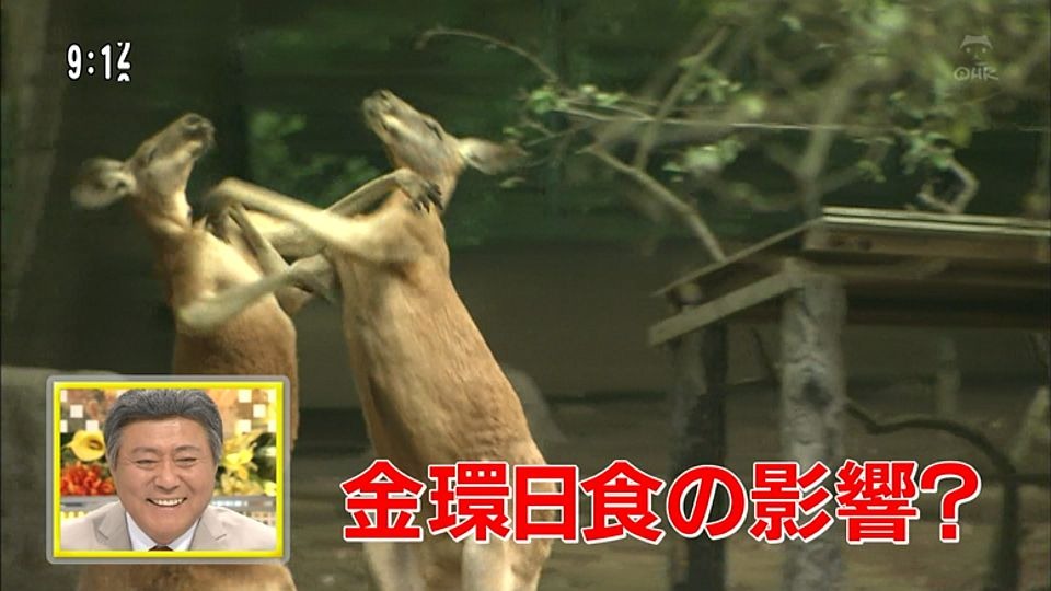 [44_1%255B2%255D.jpg]