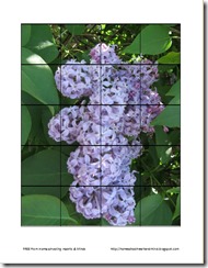 hyacinth preschool puzzle thumbnail