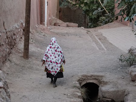 20, Taranca din Iran.JPG