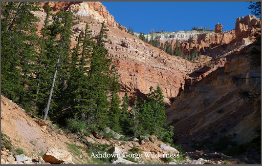 【免費旅遊App】Cedar Breaks Scenic Drive-APP點子