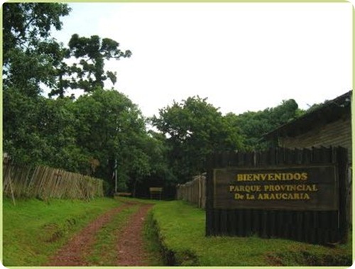 Parque Provincial Araucaria en San Pedro1