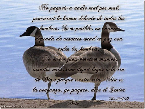 frasess cristianas airesdefiestas (25)