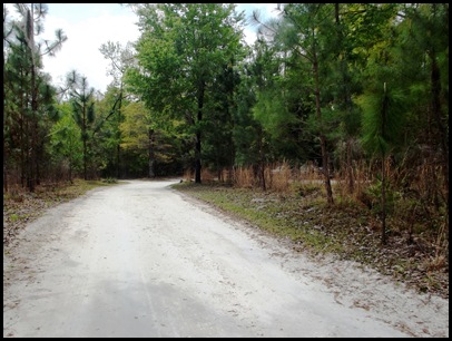 Towhee, cabins and museum 001