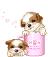028n.gif?gl=BR
