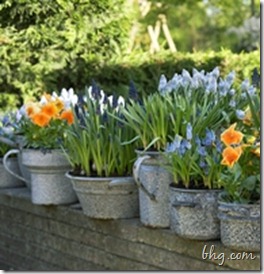 Garden - Galvanized pots