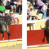 Toujours spectaculaire