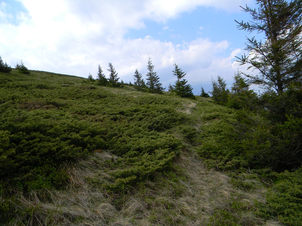 [DSCN05593.jpg]