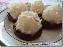 coconut chocolate macaroons - The Backyard Farmwife