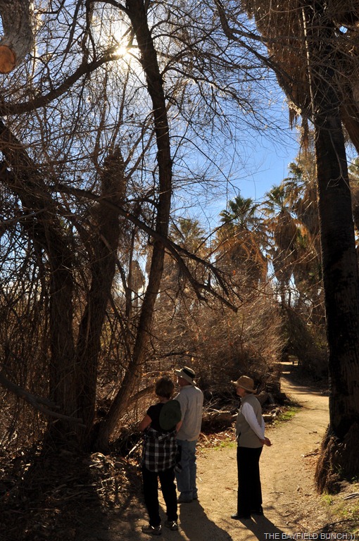 [DSC_0025%255B4%255D.jpg]