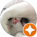 Daniel Fernandez profile picture