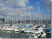 IMG_5327 IMG_5327