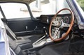Jaguar-Coys-2