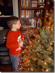 2011-12-19 decorating tree 007