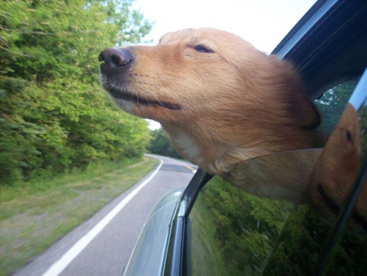 [clip_image012%255B3%255D.jpg]