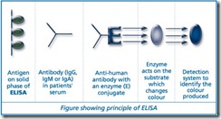 elisa_principle