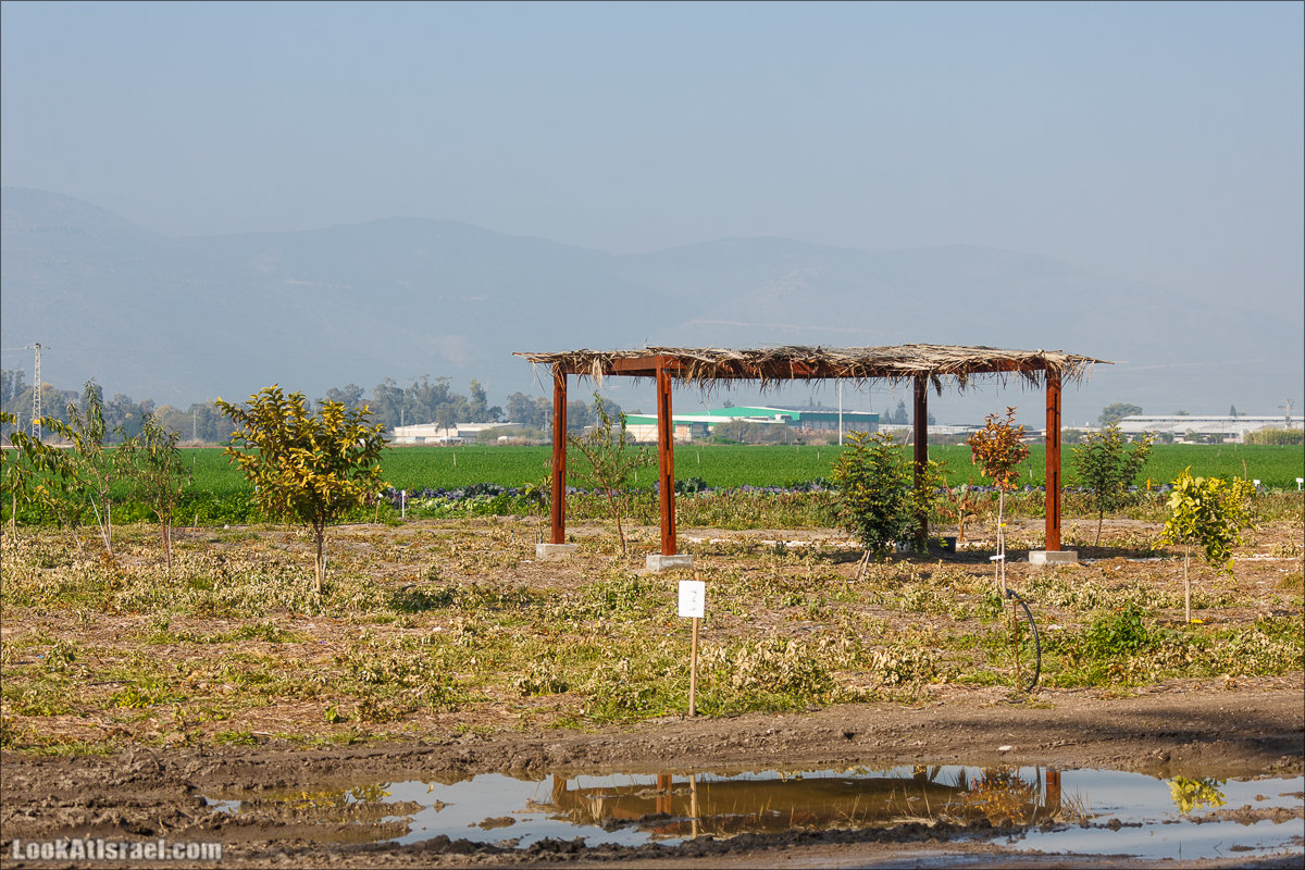 Сельскохозяйственная школа Хава бе-Эден | Hava be-Eden farm | LookAtIsrael.com - Фото путешествия по Израилю | חווה בעדן