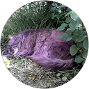 Image Google de Gwladys Sarie
