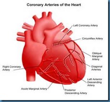 HEART SURGERY 1