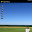 Pigeon Racing Download on Windows