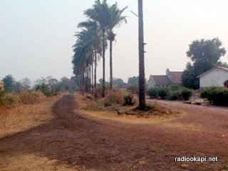 Une avenue de Kisenge couvert de Manganese.